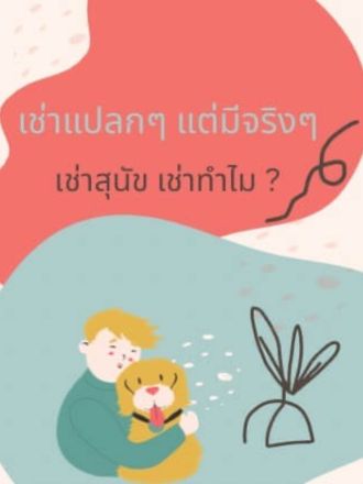 เช่าแปลกๆ แต่มีจริงๆ : เช่าสุนัข เช่าไปทำไม?